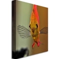 thumbnail image 2 of Trademark Art "Talking with a Fish" Canvas Art by Kurt Shaffer, 2 of 2