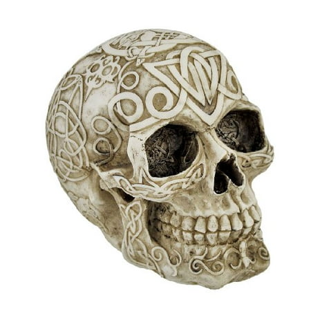 Celtic Owl Knotwork Human Skull Statue Pagan by Private