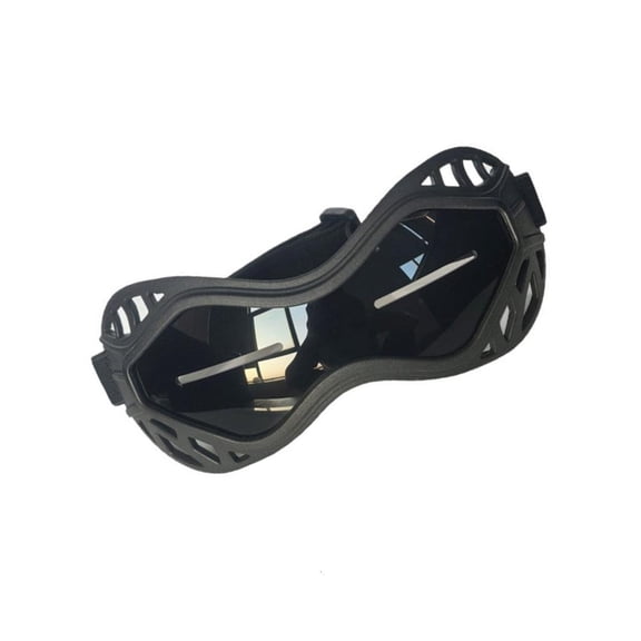 Lerpwige Adjustable Strap Snow Goggles Anti Snow Blindness Ski Goggles for Women Men
