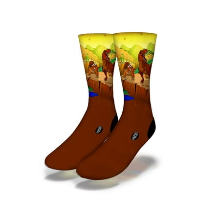 

DINOSAUR BROS Fun Dinosaur Socks