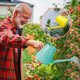 thumbnail image 5 of Regadera de tubo de plástico | Aspersor de jardín interior y exterior de caño largo | Plástico duradero engrosado | Empuñadura ergonómica | Capacidad de 1.2L | Llenado fácil | Riego versátil de, 5 of 6
