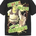 thumbnail image 3 of DreamWorks Shrek Donkey Drop Shoulder T-Shirt Toddler to Big Kid, 3 of 3