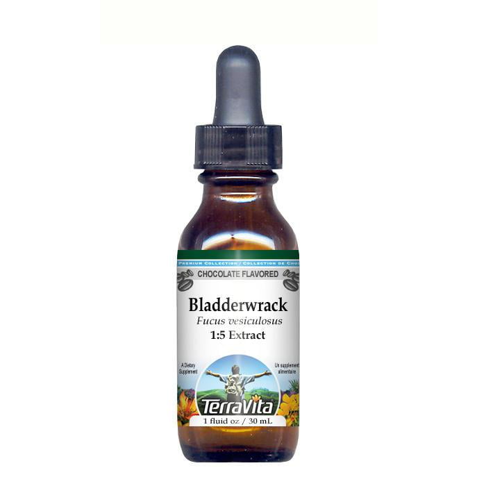 Bladderwrack Blue-Green Kelp Glycerite Liquid Extract (1:5) Chocolate Flavored (1 fl oz,... by TerraVita