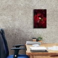 thumbnail image 4 of Epic Graffiti 'Red Velvet' by Philippe Sainte-Laudy, Canvas Wall Art, 12"x18", 4 of 8