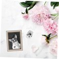 thumbnail image 2 of Cat Ash Urn 1Piece Durable Stainless Steel Pet Ash Holder for Commemorating Beloved Pets Lightweight Sealed Travel, 2 of 5