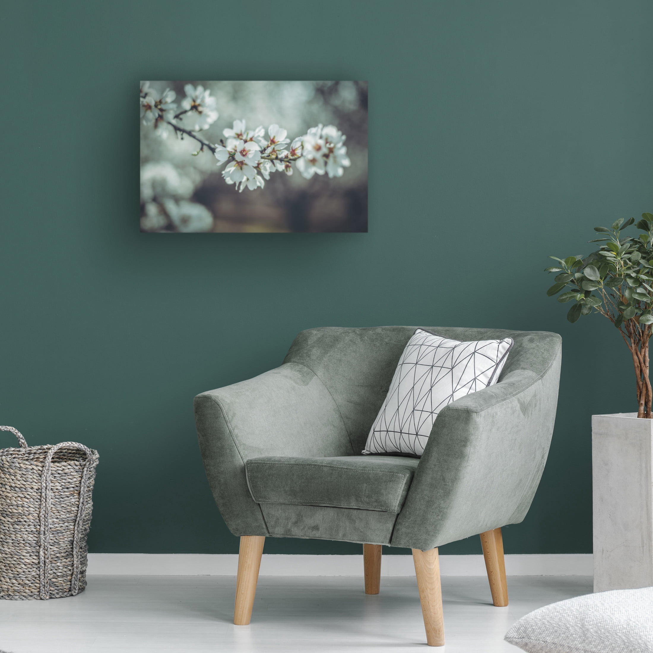 Trademark Fine Art Tim Mossholder Almond Blossoms Canvas Wall Art