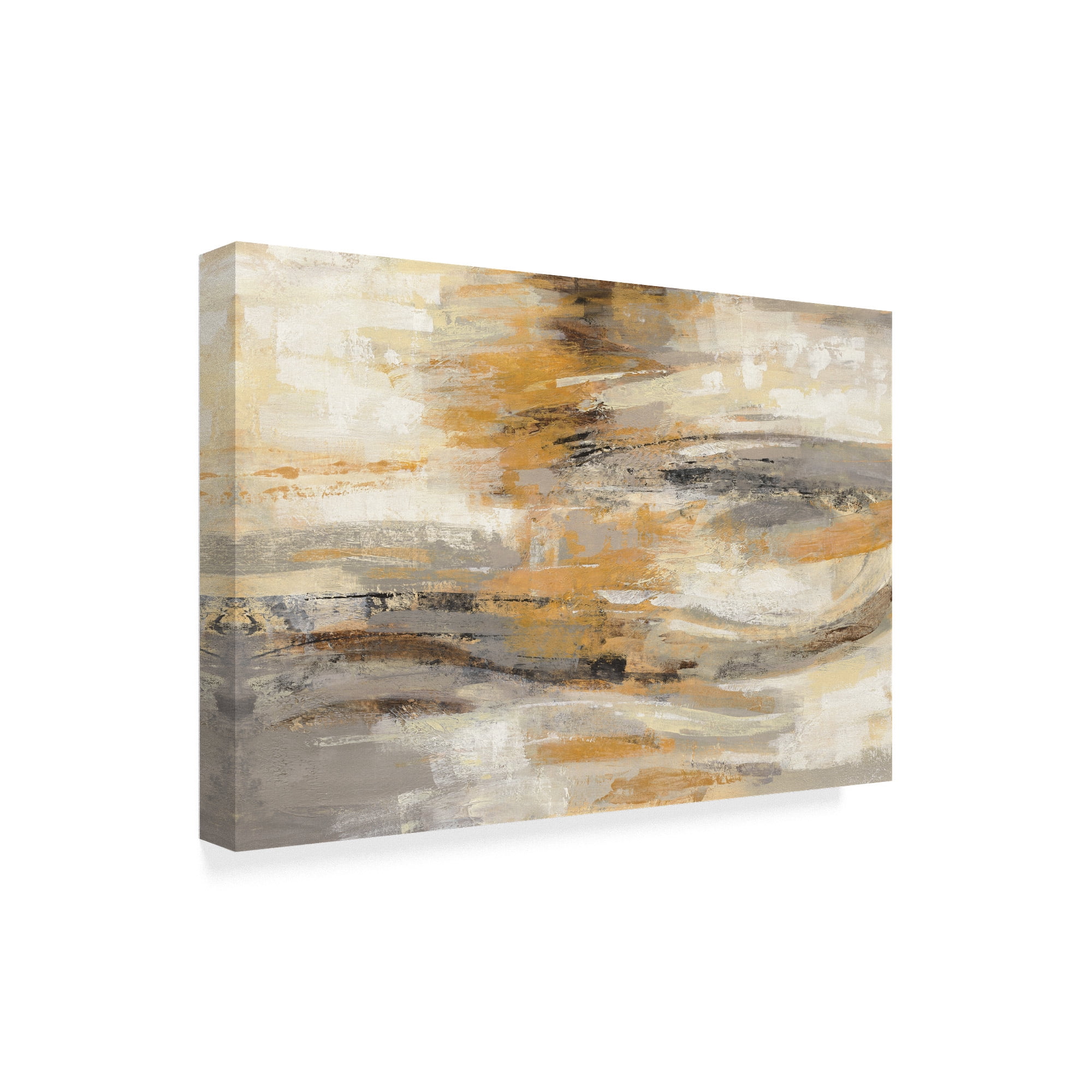 Trademark Fine Art 'Golden Dust' Canvas Art by Silvia Vassileva