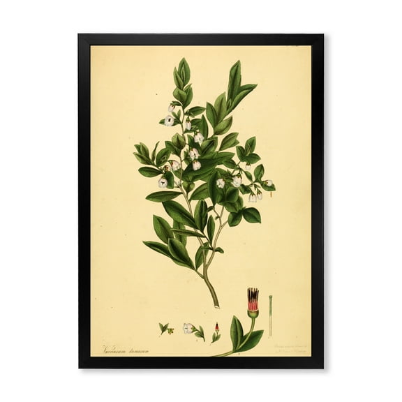Designart 'Ancient Plant Life XXV' Traditional Framed Art Print