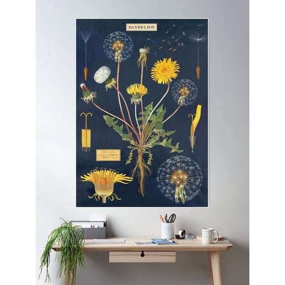 Flower Poster Dandelion - Vintage Art Poster Wall Art, Modern Wall Decor For Living Room Bedroom, 8x12 UNFRAMED
