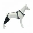 thumbnail image 6 of Dog Leg Support Sleeve Adjustable Metal Brace Protective Gear for Post Recovery and Injury Rehabilitation, 6 of 6