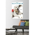 thumbnail image 4 of DC Studios Superman (2025) - Krypto Feature Series Wall Poster with Magnetic Frame, 22.375" x 34", 4 of 5