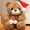Brown, variant on Cute Little Bear Plush Toys Doll Christmas Decorative Gift