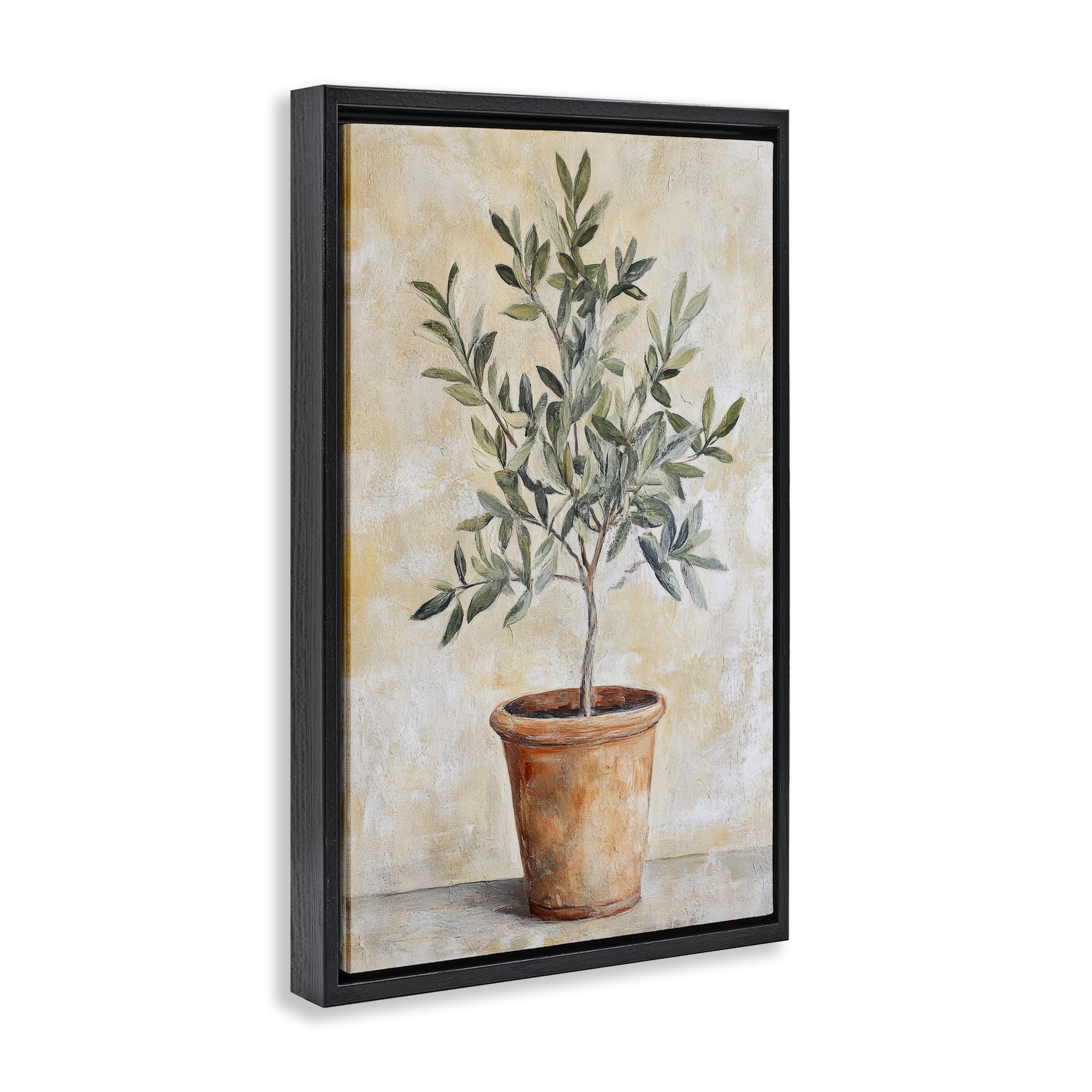 Stupell Industries House Plant in Terracotta Black Framed Floater Canvas Wall Art, design by Petal Prints Design