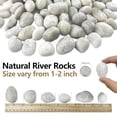 thumbnail image 4 of 45LB White River Rocks, High Polished Pebbles, 1–2 inch Decorative Rocks for Garden Landscaping, Lava Rocks for Plants, Aquarium & Fish Tank Rocks, Outdoor Decorative Stones & Pathway Design, 4 of 9