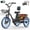Black, variant on Flycity Electric Tricycle for Adults, Peak 1200W Electric Trike with 48V 15Ah Removable lithium battery, 20" 7 Speeds 3 Wheels Electric Bikes, Black