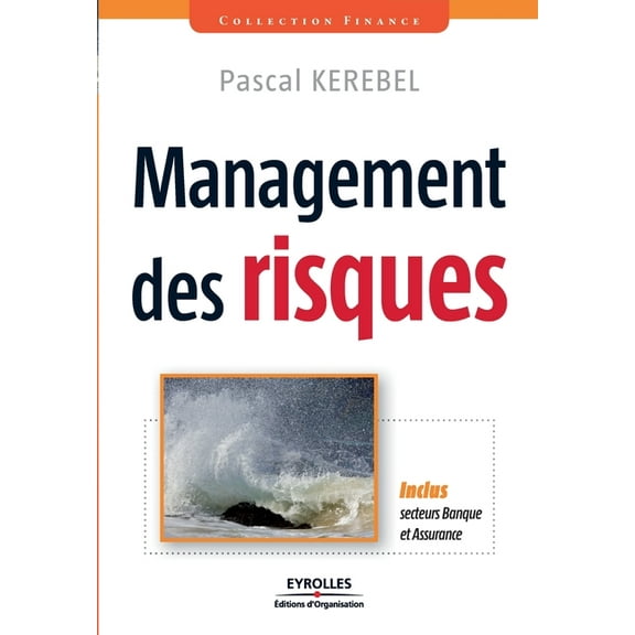Management des risques : Inclus secteurs Banque et Assurance (Paperback)