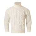 thumbnail image 1 of Chandail Col Roulé Décontracté pour Hommes Tricot Chaud Confortable Doux Mode Hiver, 1 of 9