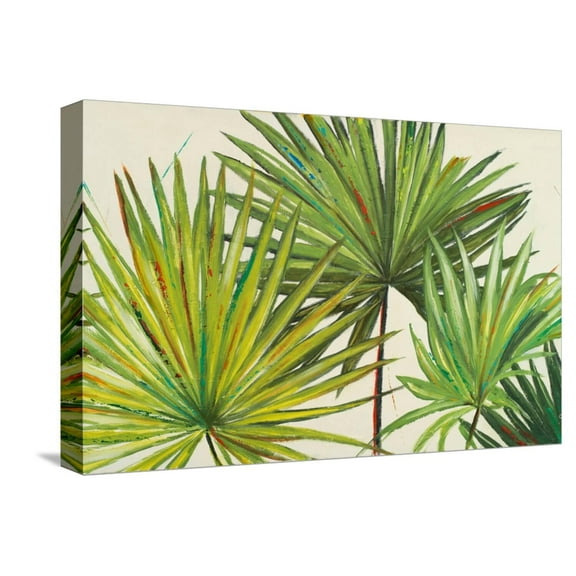 Art.com Arte Verde II Stretched Canvas Print Wall Art by Patricia Pinto, 18" x 12"