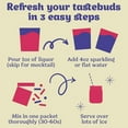 thumbnail image 4 of Craftmix Blueberry Lemonade Mix - 12 Packets - Easy Powder Drink with Real Fruit - Vegan, Low-Carb, Non-GMO, Dairy Free, Gluten-Free - Water Enhancer, Skinny Cocktail Mixers, Instant Mix Mocktail Kit, 4 of 5