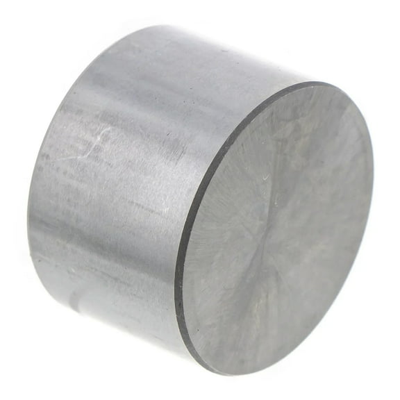 Polaris OEM Graded 4.825 Valve Tappet, 5138477-482