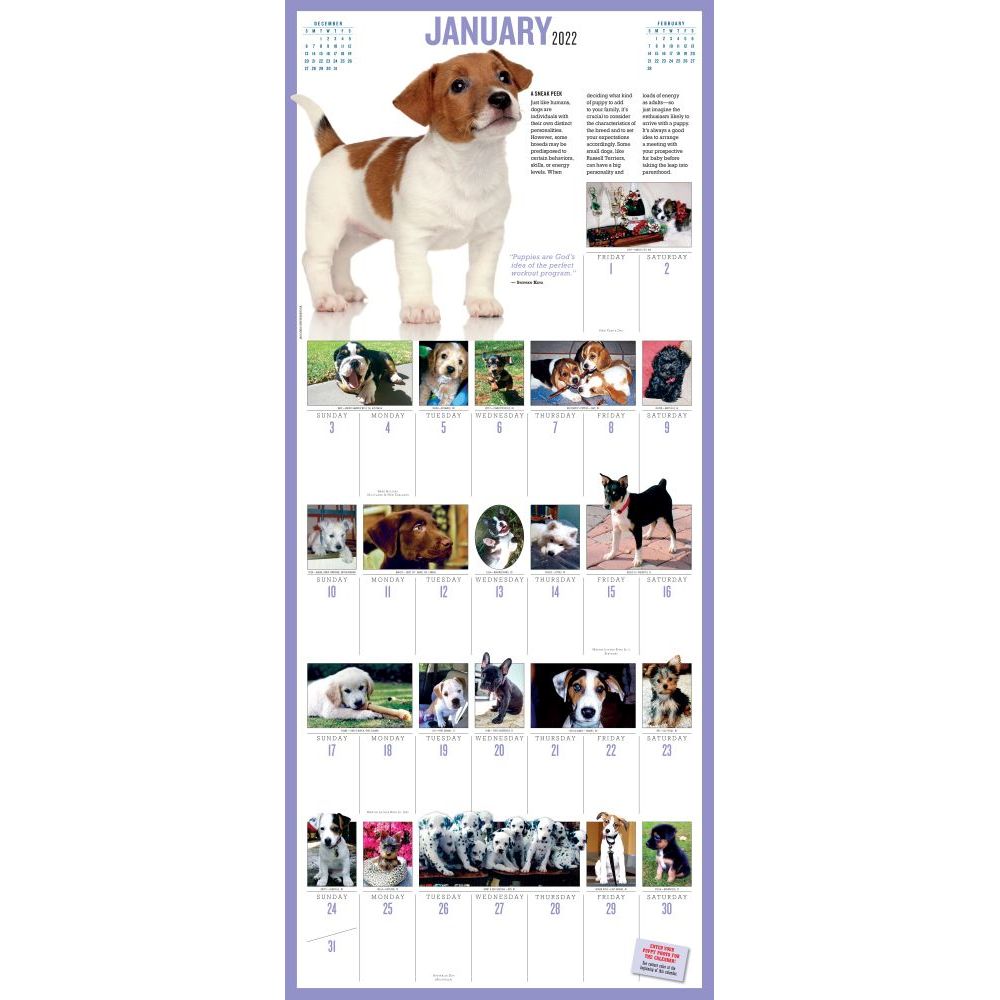 365 PuppiesAYear PictureADay Wall Calendar 2022 The Most Adorable