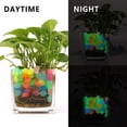 thumbnail image 4 of Decoraciones para peceras Oubest que brillan en la oscuridad, 300 unidades, 4 of 7