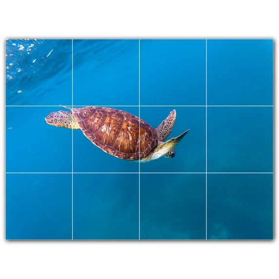 Picture-Tiles.com: Turtle Ceramic Tile Wall Mural WAL501069-43S. 17"W x 12.75"H using (12) 4.25" x 4.25" Ceramic Tiles-Satin Finish