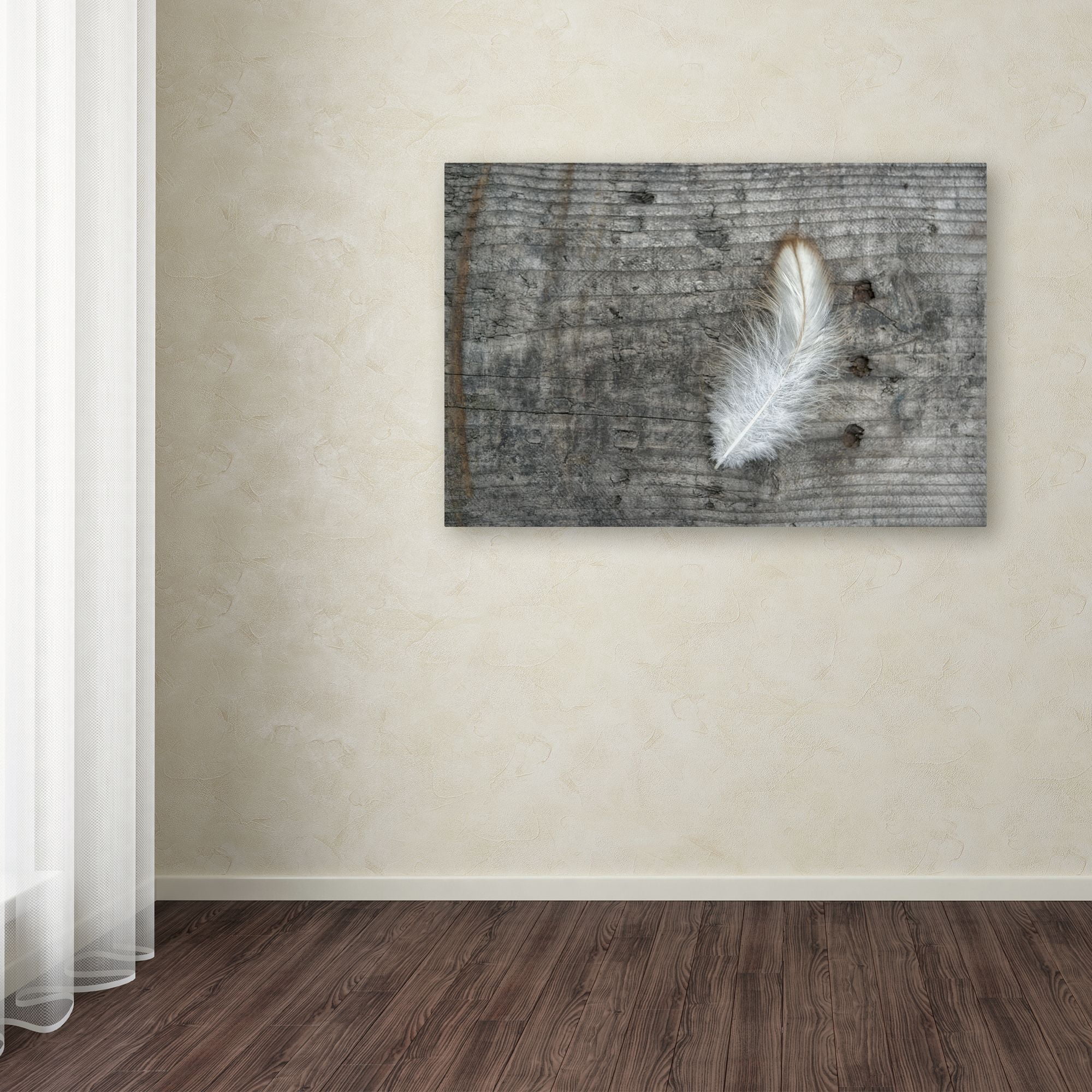 Trademark Fine Art 'Feather on Rough Wood' Canvas Art by Cora Niele