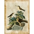 thumbnail image 2 of Vision Studio 25x32 Gold Ornate Wood Framed with Double Matting Museum Art Print Titled - Antiquarian Birds IV, 2 of 4