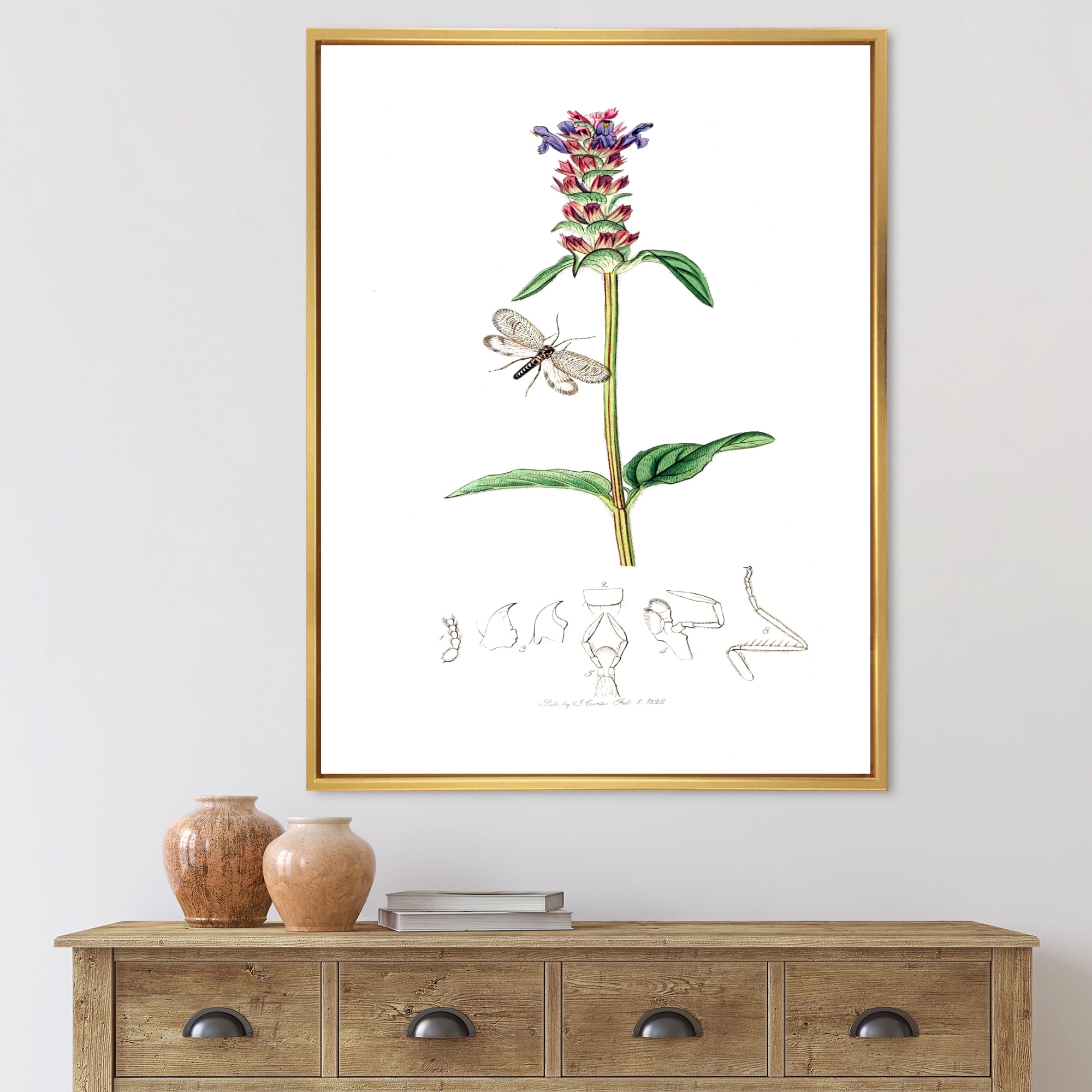 Designart 'Ancient Insects and Plants II' Farmhouse Framed Canvas Wall Art Print