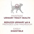 Purina ONE High Protein Dry Cat Food, +Plus Urinary Tract Health
