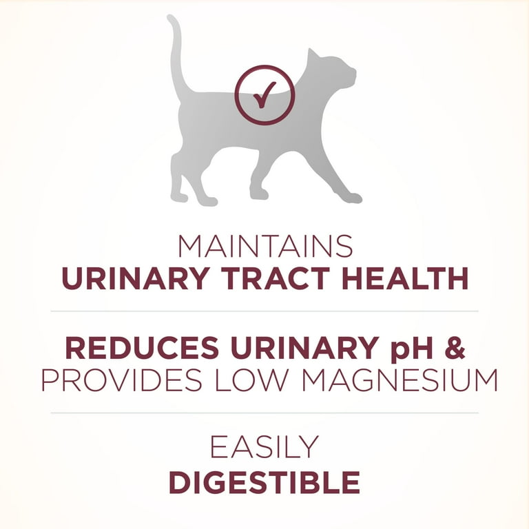Purina ONE High Protein Dry Cat Food Plus Urinary Tract Health