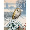 thumbnail image 1 of Carolines Treasures ASA2157CHF Barn Owl Flag Canvas House Size, 1 of 4