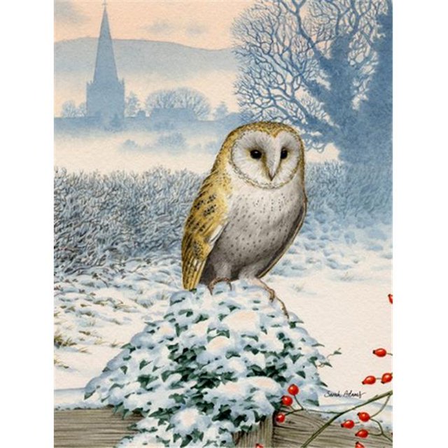 Carolines Treasures ASA2157CHF Barn Owl Flag Canvas House Size