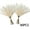 Beige, variant on 40PCS Artificial Pampas Grass Decor – 21.65" Fluffy Bohemian Reed Stems for Wedding, Home, Vase Arrangement (Hypoallergenic, No Shedding)