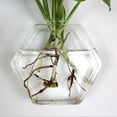 thumbnail image 3 of 4 Pieces Wall Hanging Planters Air Plants Hexagon Containers 13cm, 3 of 8
