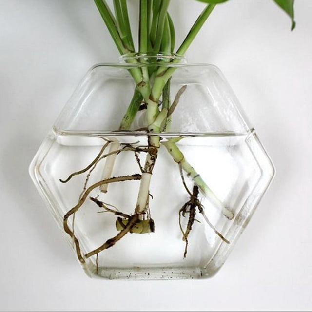 5 Kinds Hanging Vase Landscape Bottle Terrarium Container , Hexagon 17cm