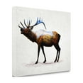 thumbnail image 2 of "Rocky Mountain Elk" By Davies Babies, Fine Art Giclee Print on Gallery Wrap Canvas, Ready to Hang, 2 of 2