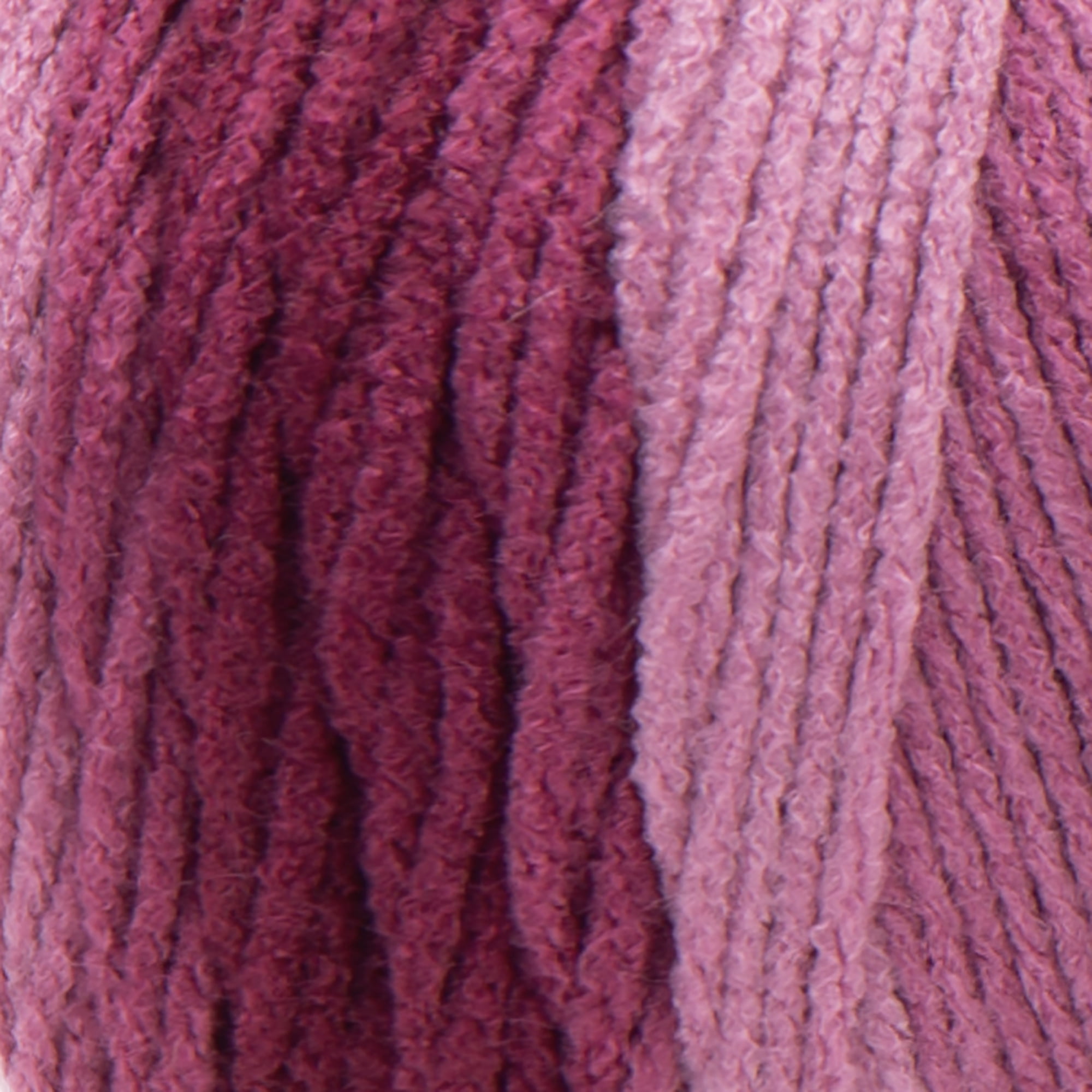 Red Heart® Super Saver Ombre™ #4 Worsted Acrylic Yarn, Anemone 10oz/283g #482 Yards (2 Pack)