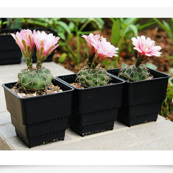 Worgeous  3 Pcs Artificial Plants for Decor Indoor Succulent Planters Black