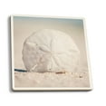 thumbnail image 1 of Sand Dollar on Beach (Absorbent Ceramic Coasters Set of 4 Matching Images, Cork Back, Kitchen Table Decor), 1 of 3