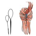 thumbnail image 4 of 2 Pcs/set Braid Accessories Ponytail Maker, Girls and Children Hair Tail Tools, French Braid Tool Ring Modeling, Black (1 Large & 1 Small), 4 of 5