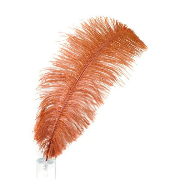 Zucker Feather Products  17-inch Ostrich Feather Drabs (12 pack)