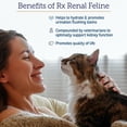thumbnail image 4 of Rx Vitamins Renal Feline Beadlets - Cat Kidney Support with Astragalus Root and Milk Thistle for Cats - Supports Kidney and Immune Health in Cats - 3.52oz, 4 of 6