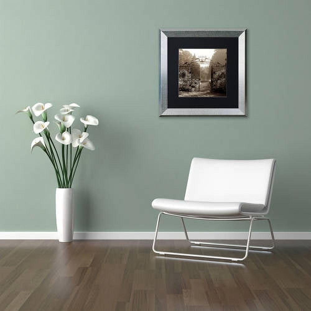 Trademark Fine Art "Hampton Gates III" Canvas Art by Alan Blaustein, Black Matte, Silver Frame
