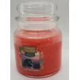 thumbnail image 4 of Yankee Candle Last Paradise Collection - Cliffside Sunrise - Medium Original Jar Candle, 4 of 4