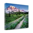 thumbnail image 2 of Tangletown Fine Art 'Purple Mountain Majesty' Photographic Print on Canvas, 2 of 3