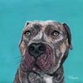 thumbnail image 2 of Symons, Melissa 26x26 White Modern Wood Framed Museum Art Print Titled - Good Boy, 2 of 4