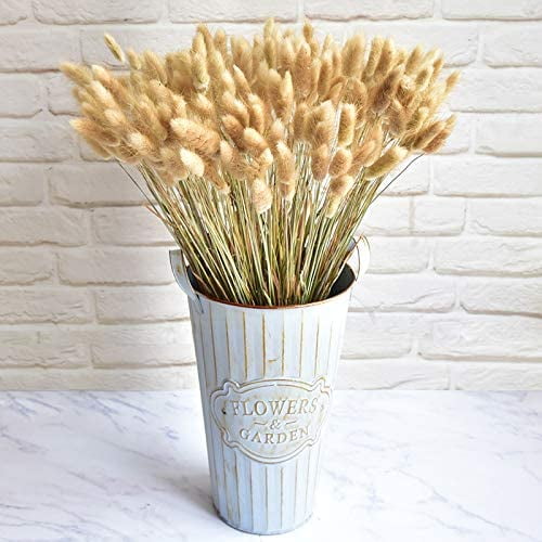 50 piezas de decoración del hogar, ramos de hierba de cola de conejo, flores secas, Uraria Crinita, flor real artificial,fiesta en casa y boda, lago azul y amarillo WD.WDQZL Patio y Jardin