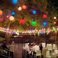 View all media
